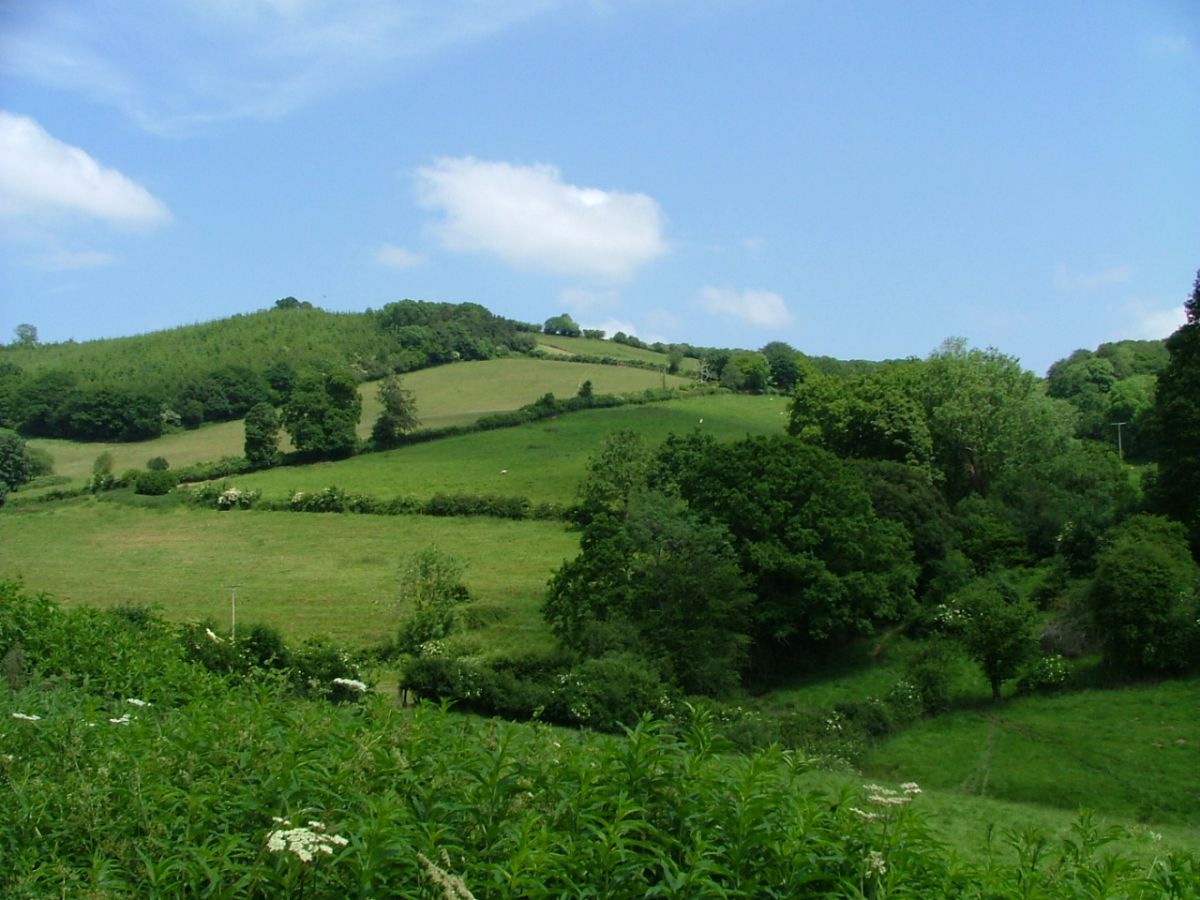 Enjoying the Quantock Hills